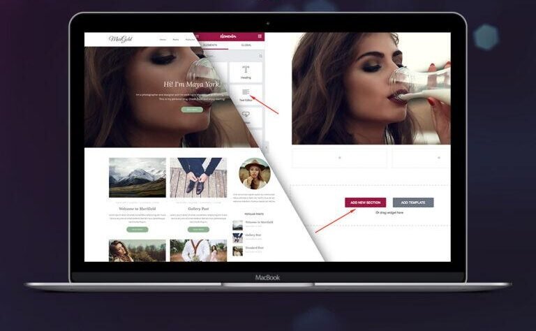 wordpress